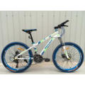 Jiebao Model Mountain Bicycle MTB Mountain Bike